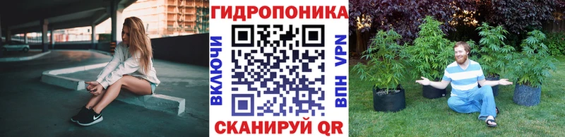 Каннабис OG Kush Лениногорск
